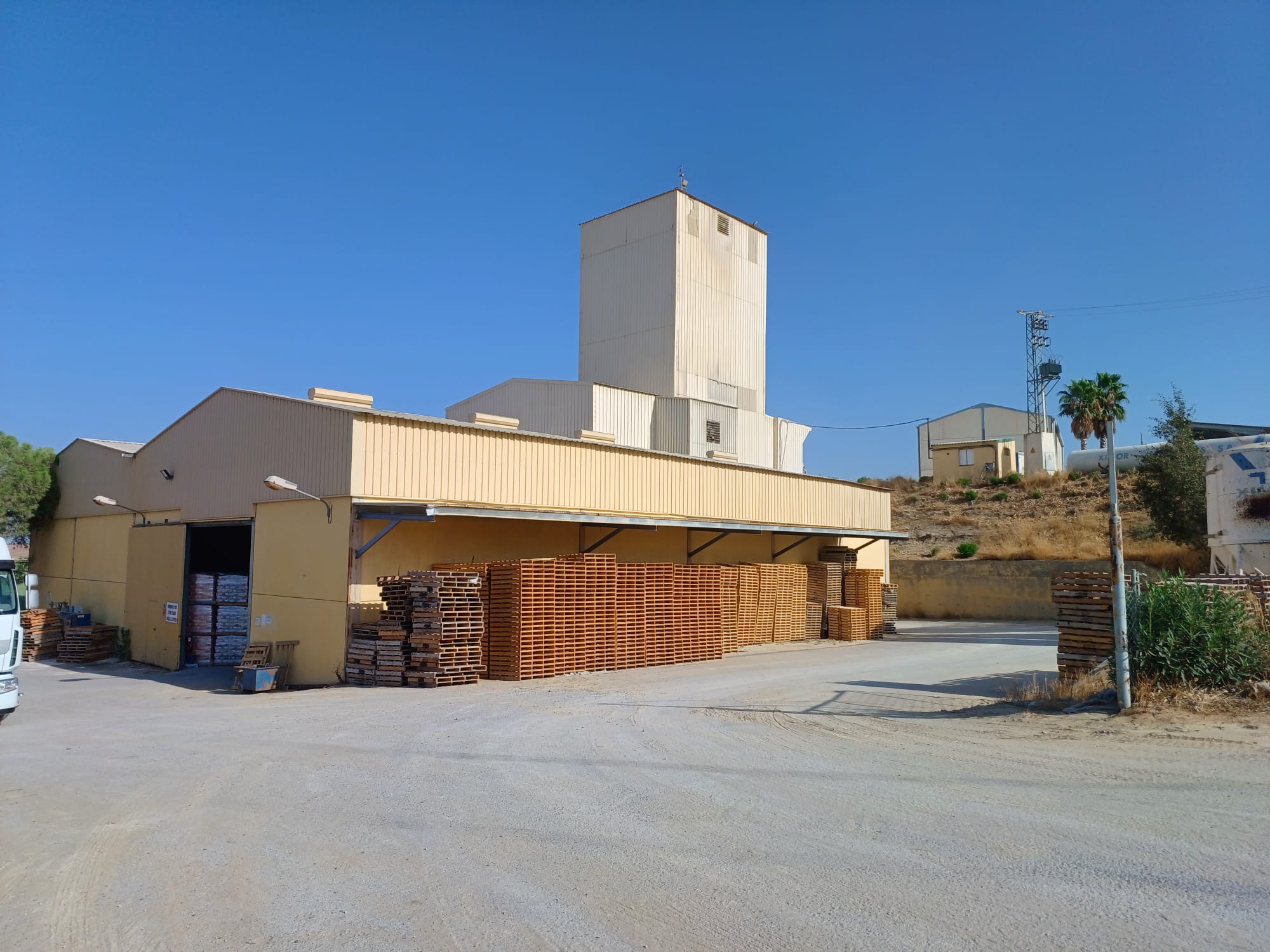 Polg 41 P43. Zona El Arenal, Fuentes de Andalucía (Sevilla)